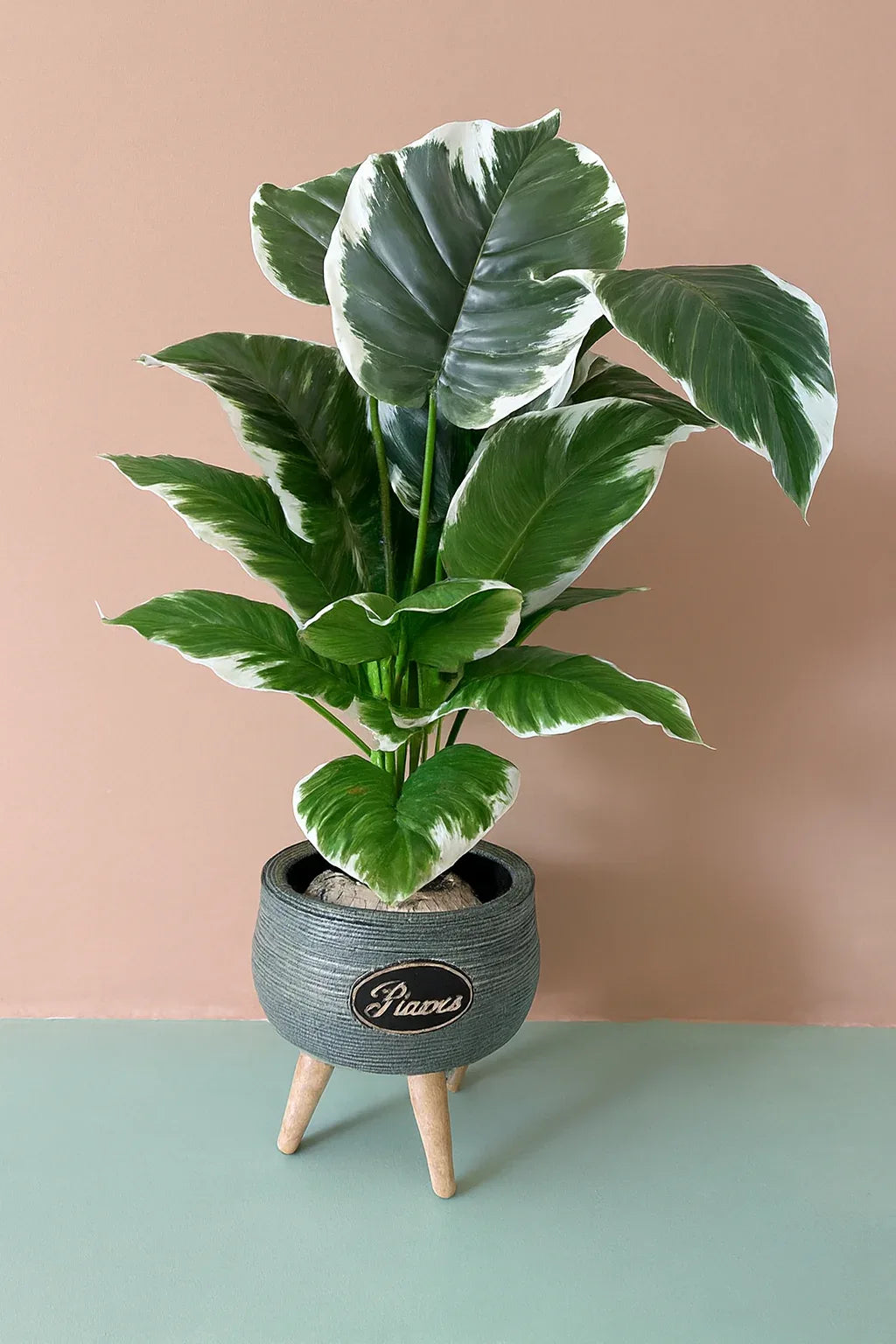 Artificial Small Plant 002 | Decorative Indoor Greenery