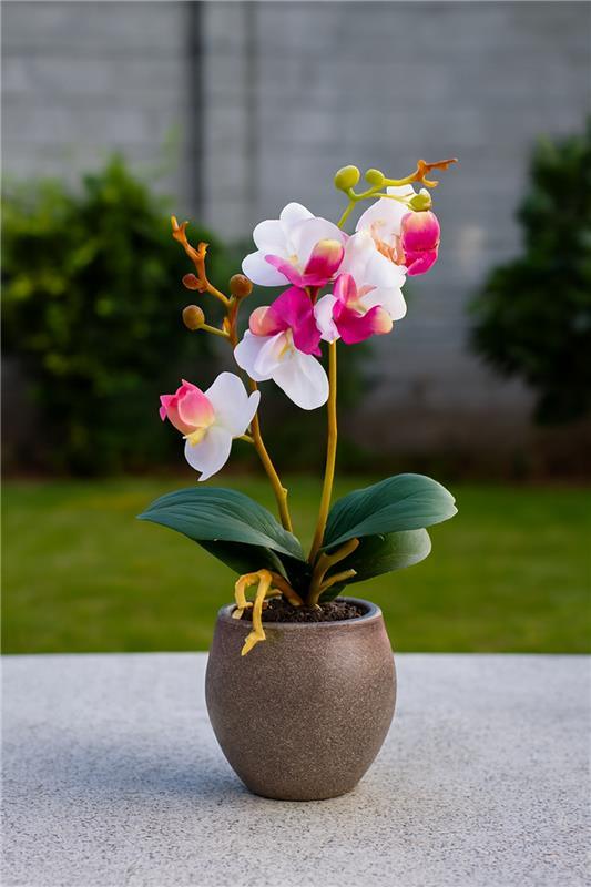 Orchid Planter 003 | Elegant Ceramic Flower Décor