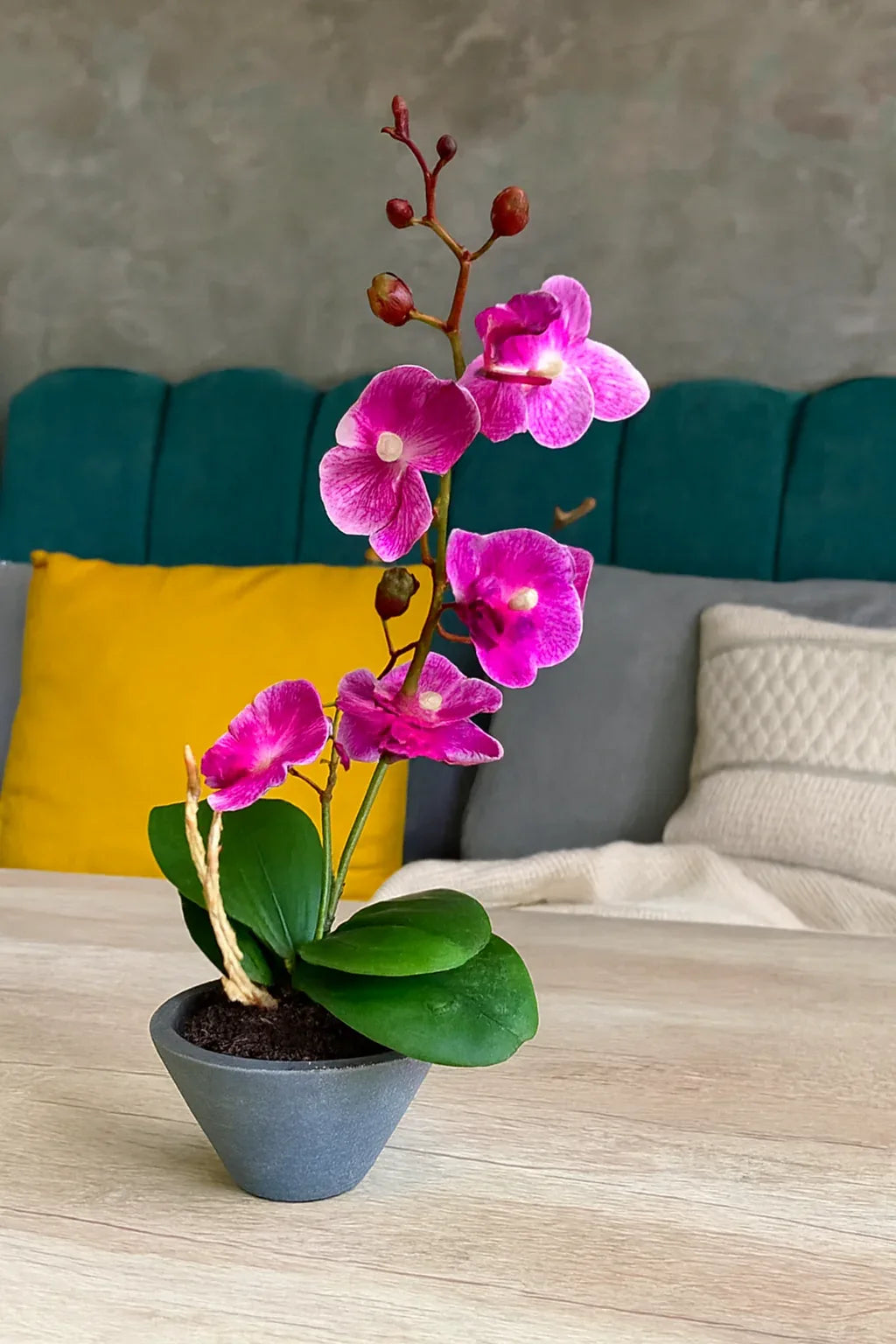 Orchid Planter Pink 004 | Elegant Ceramic Flower Pot