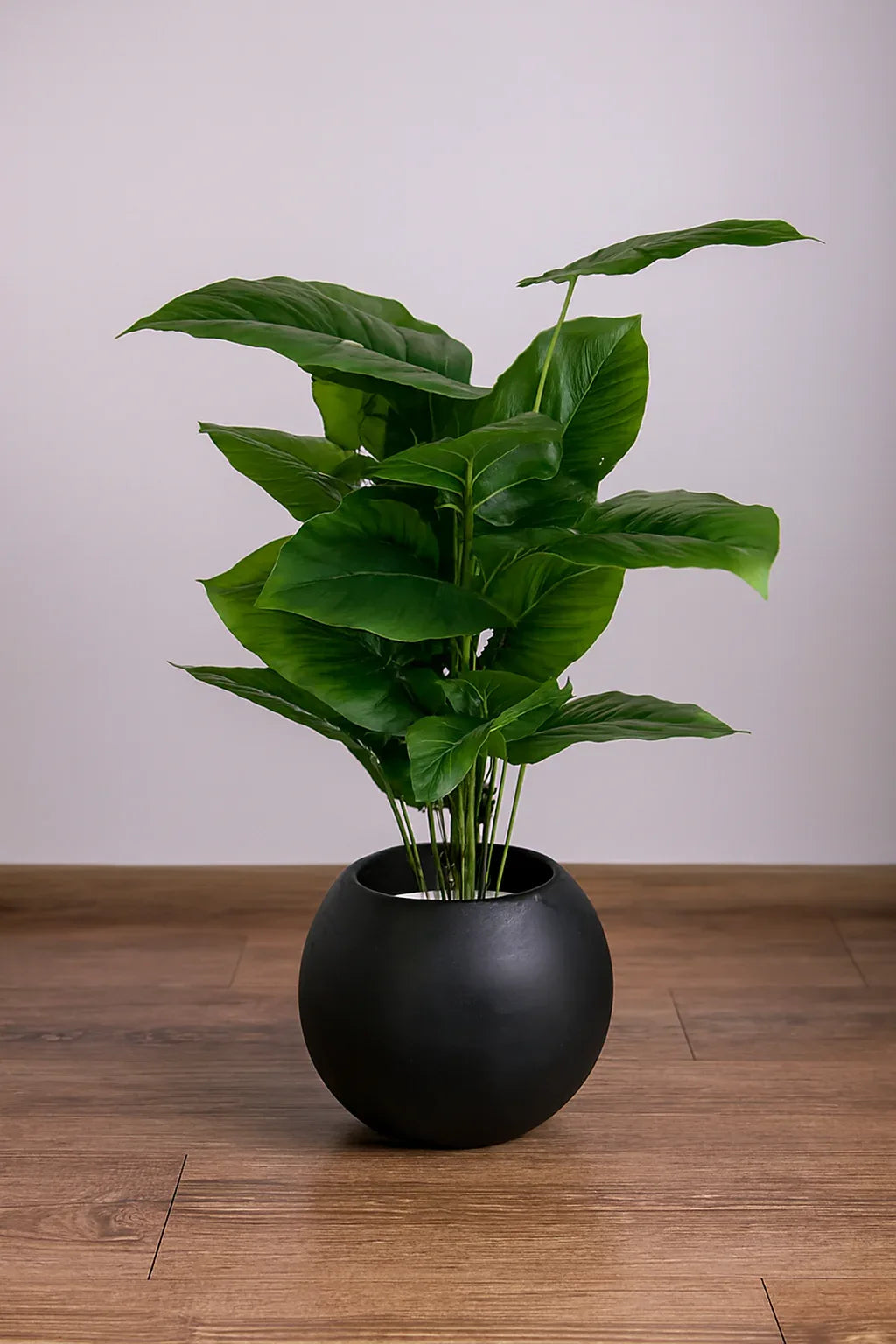 Round Pot Plant 002 in Pakistan – Black Fiber Tall