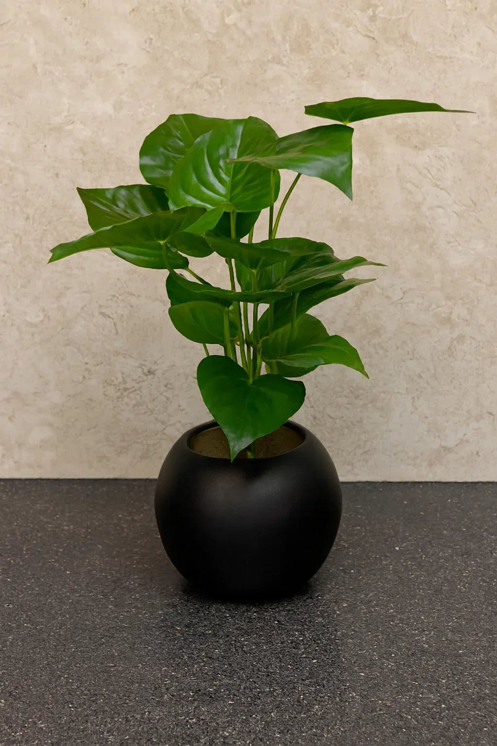 Round Pot Plant 005 | Black Fiber Decorative Plant