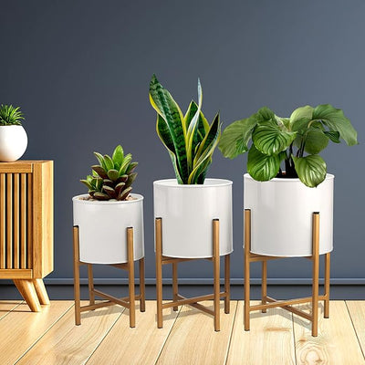 Planters