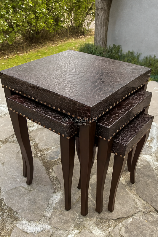 Alda Nesting Table Set of 3 in Pakistan – Sheesham Wood