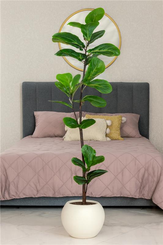 Artificial Plant & Planter 031 | Imported 5 ft Décor