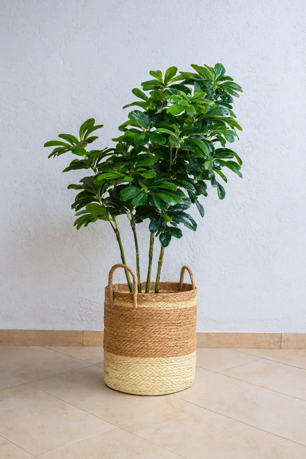 Artificial Plants and Planter 12 | Stylish Indoor Basket Plant