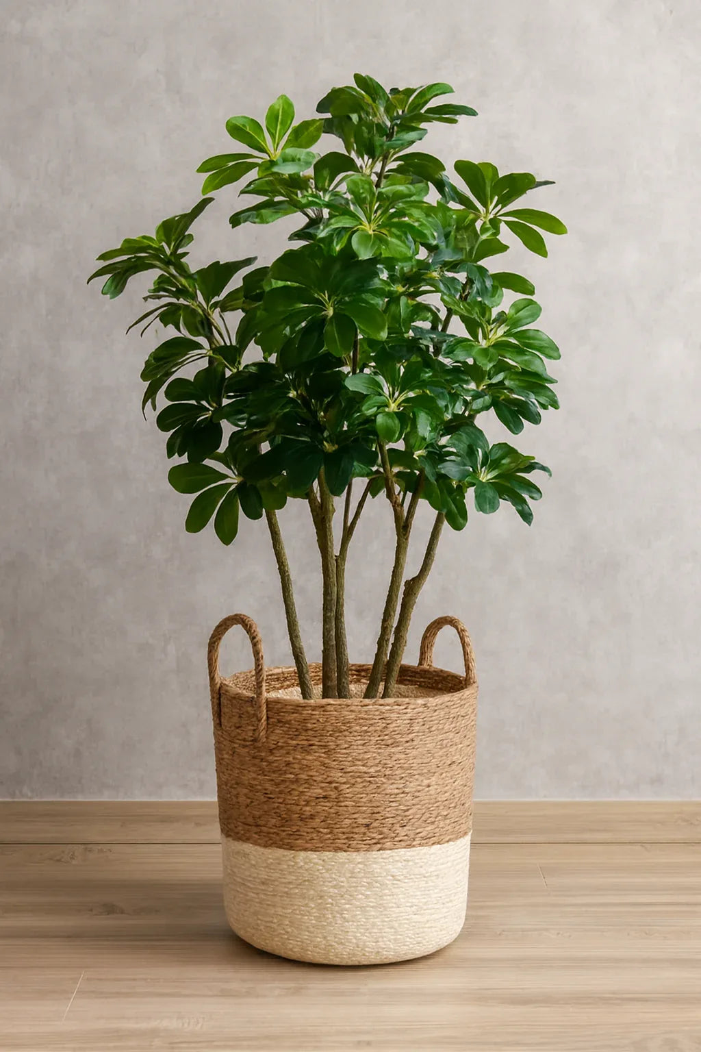Artificial Plants and Planter 12 | Stylish Indoor Basket Plant