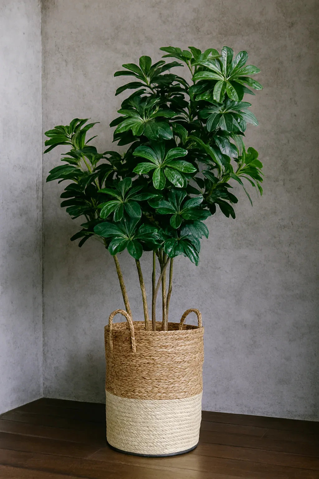 Artificial Plants and Planter 12 | Stylish Indoor Basket Plant