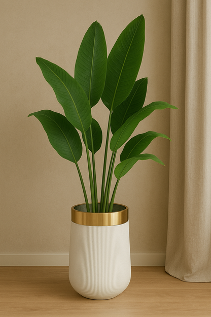 Artificial Plants & Planter 6ft – Indoor Decor Pakistan