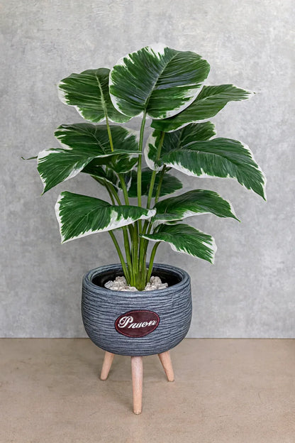 Artificial Small Plant 002 | Decorative Indoor Greenery