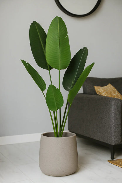 Banana Plant and Planter 036 | Imported Artificial Plant