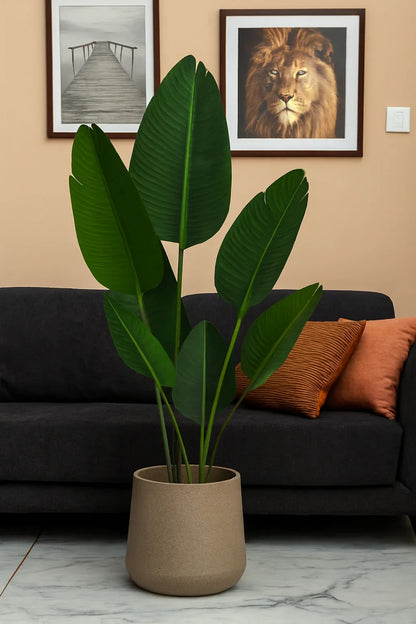 Banana Plant and Planter 036 | Imported Artificial Plant