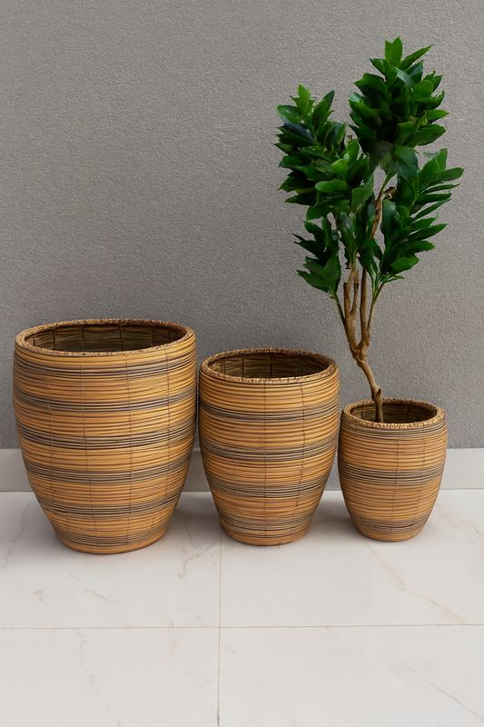 Cane Planter Set | Natural Cane Pots in 3 Sizes