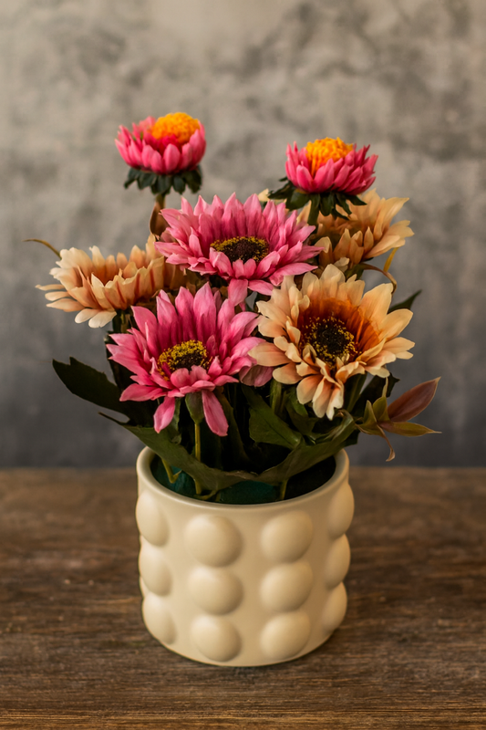 Ceramic Planter 003 | Imported Ceramic Flower Pot Pakistan