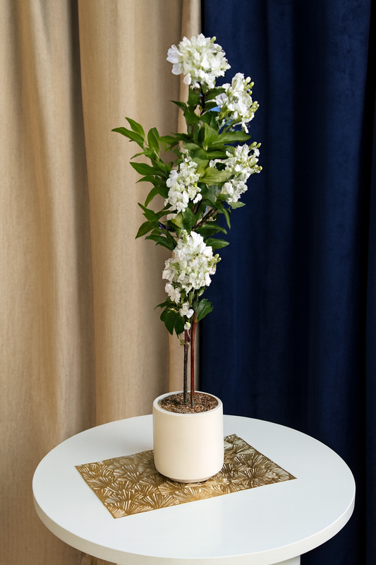 Dwarf Plant with Pot 02 | Imported Ceramic Planter