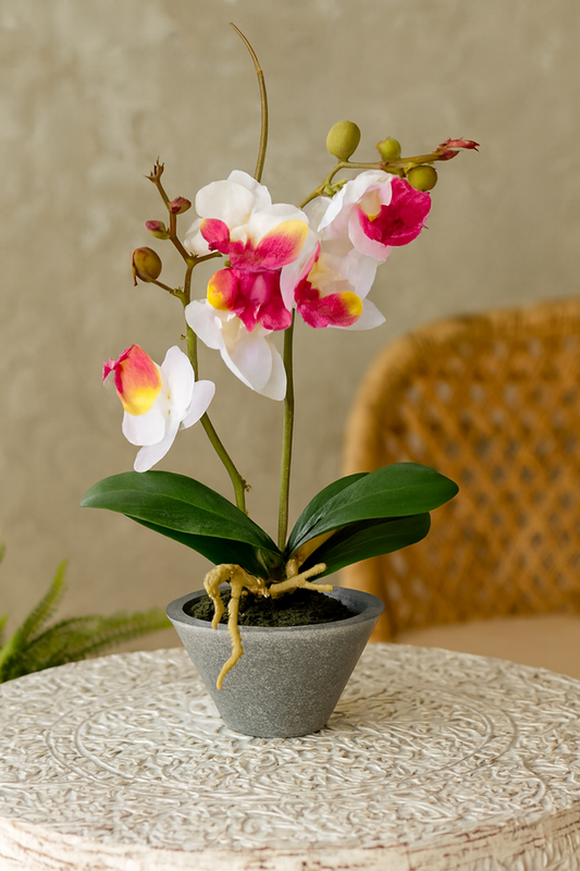 Orchid Planter 003 | Elegant Ceramic Flower Décor