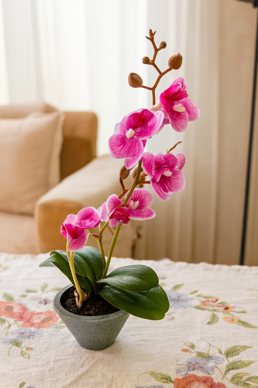 Orchid Planter Pink 004 | Elegant Ceramic Flower Pot