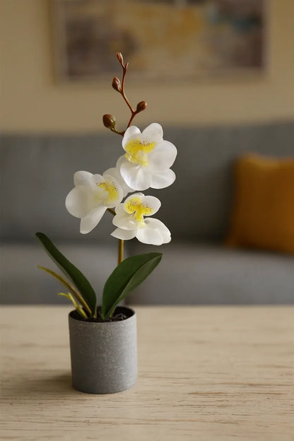 Orchid Planter 011 | Premium Ceramic Orchid Décor