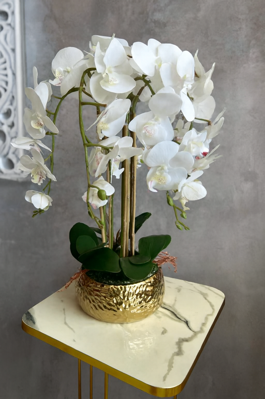 Orchids Flower Arrangement in Brass Pot | Luxury Décor