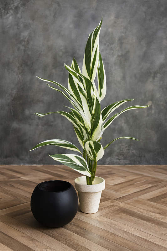 Round Pot Plant (001) | Black Fiber Decorative Planter