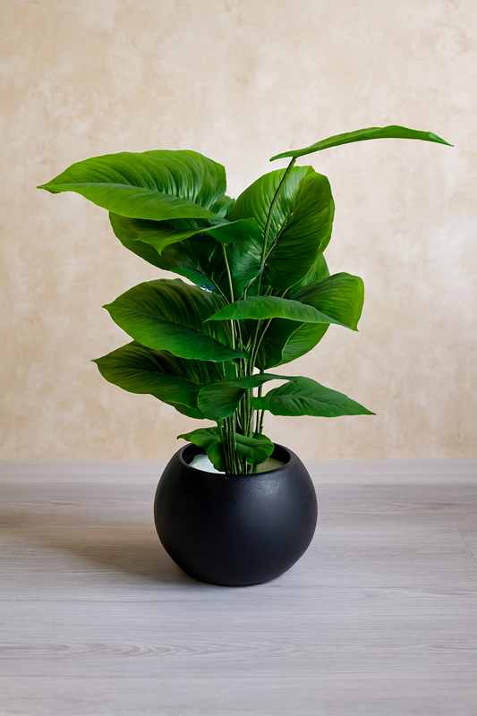 Round Pot Plant 002 in Pakistan – Black Fiber Tall