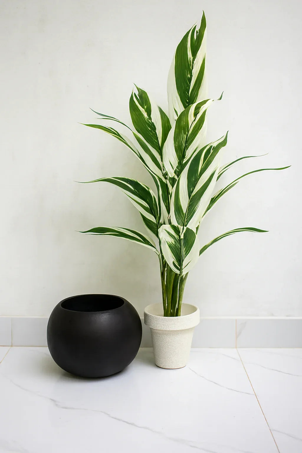Round Pot Plant (001) | Black Fiber Decorative Planter