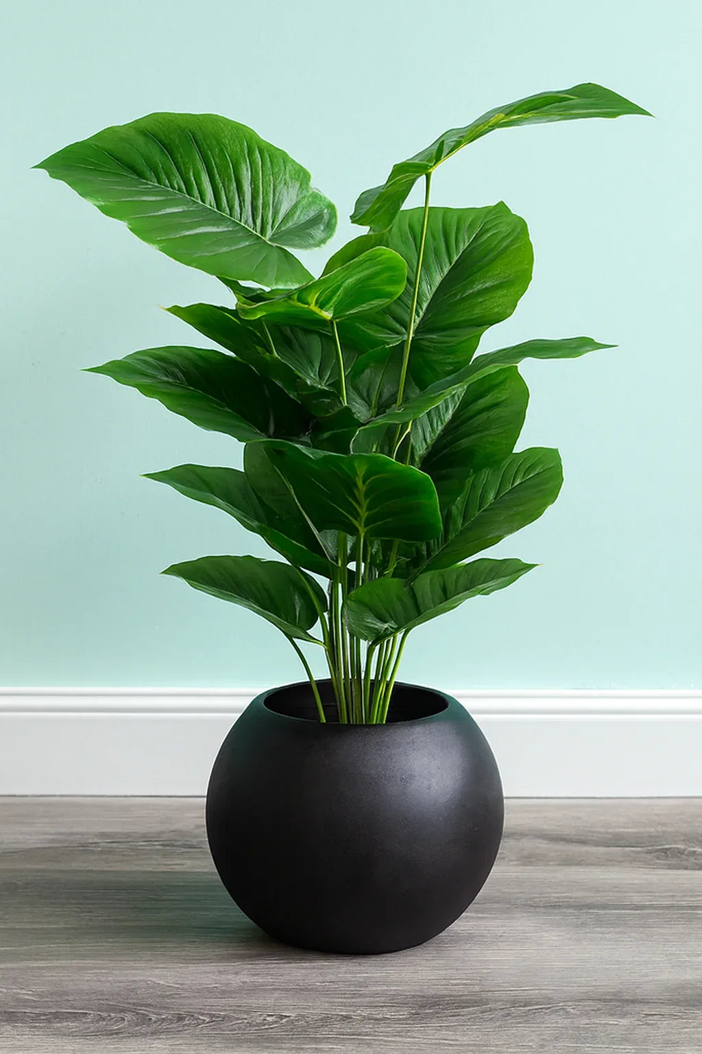 Round Pot Plant 002 in Pakistan – Black Fiber Tall