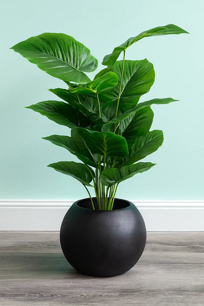 Round Pot Plant 002 in Pakistan – Black Fiber Tall
