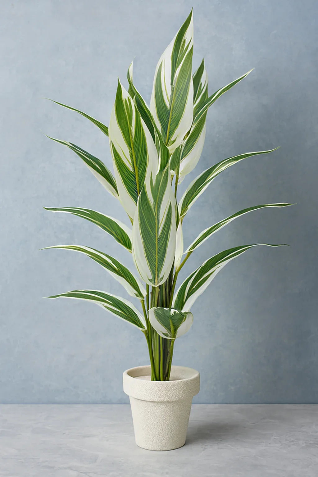 Round Pot Plant (001) | Black Fiber Decorative Planter