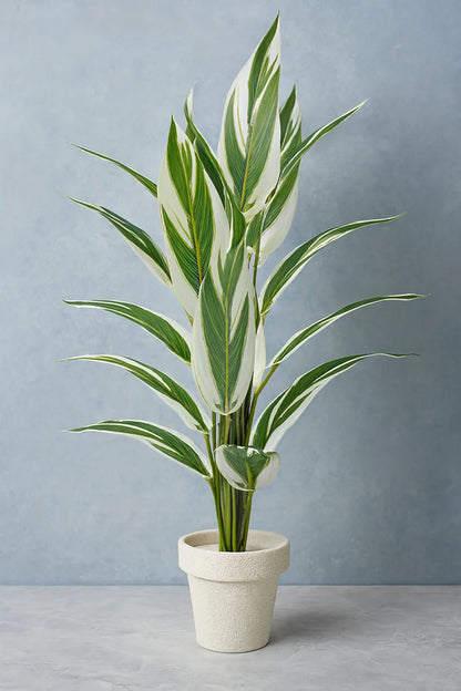 Round Pot Plant (001) | Black Fiber Decorative Planter