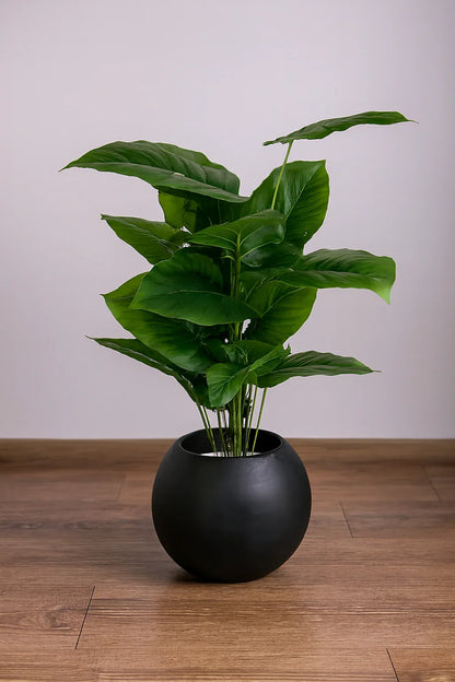 Round Pot Plant 002 in Pakistan – Black Fiber Tall