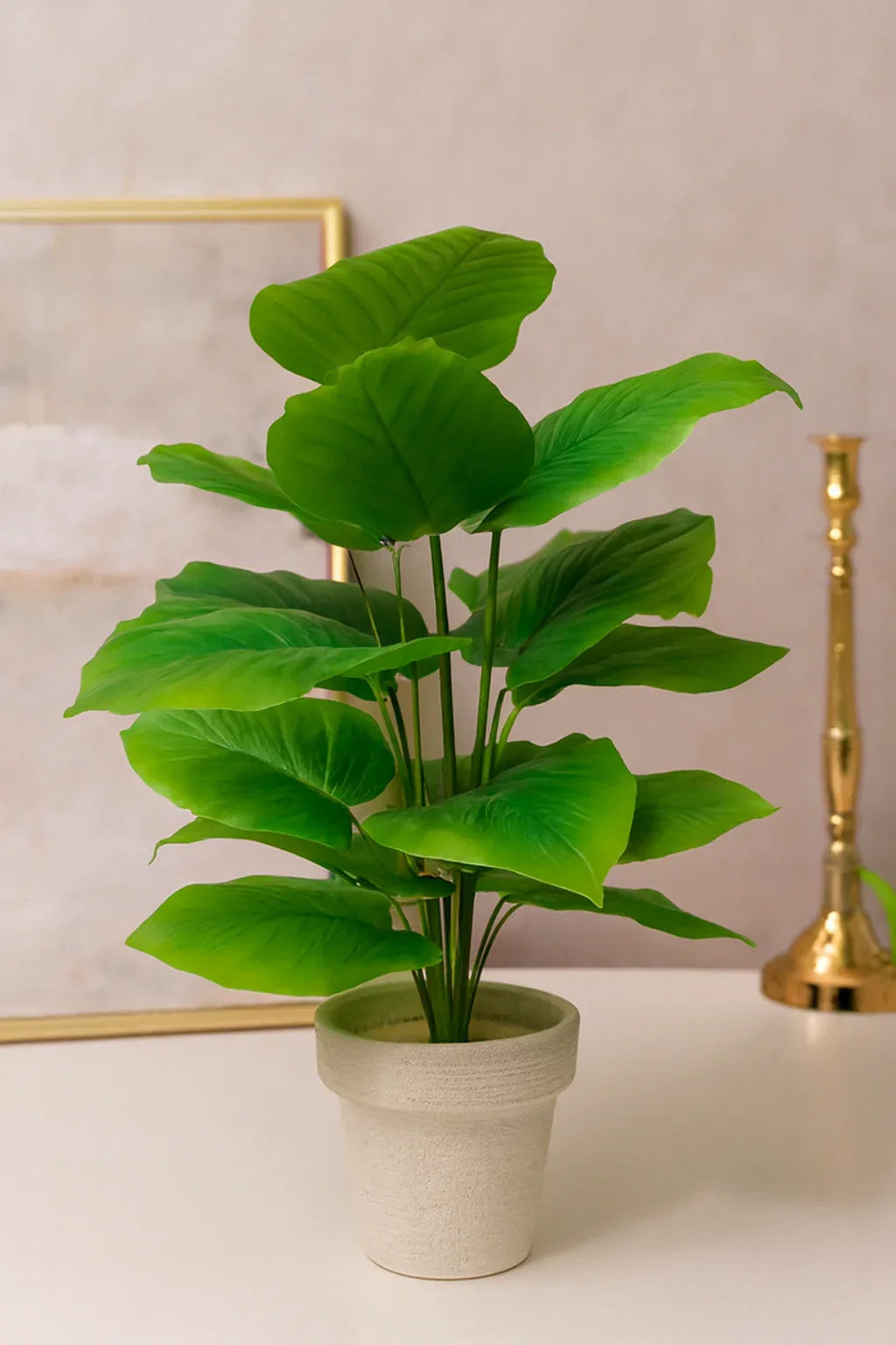 Round Pot Plant 004 Black | Fiber Decorative Planter