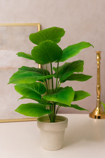 Round Pot Plant 004 Black | Fiber Decorative Planter