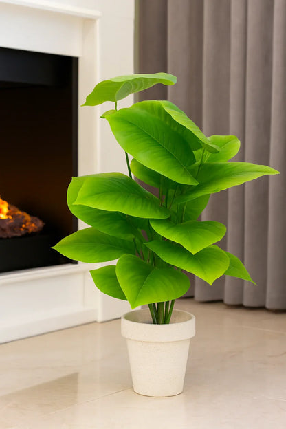Round Pot Plant 004 Black | Fiber Decorative Planter